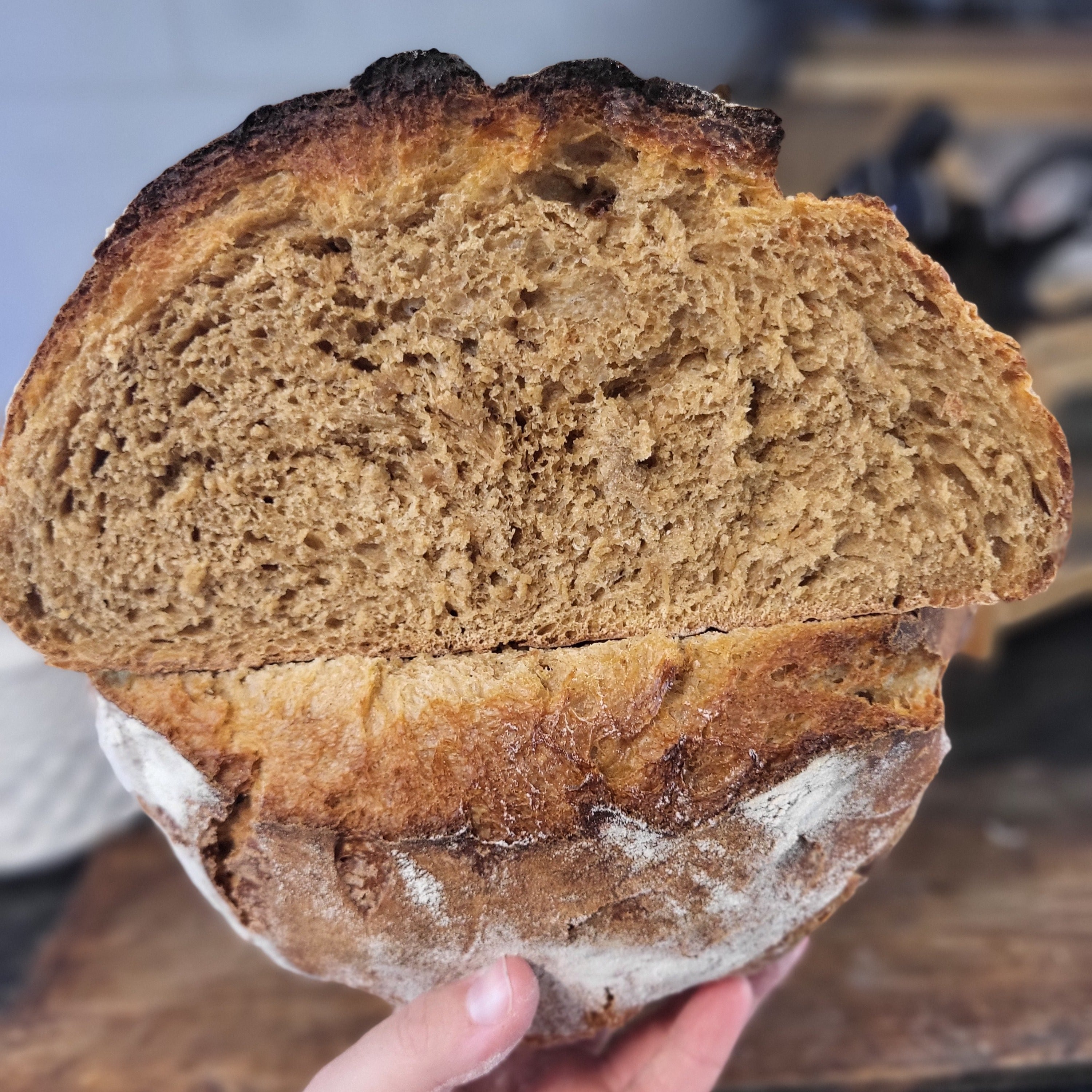 Gingerbread Sourdough